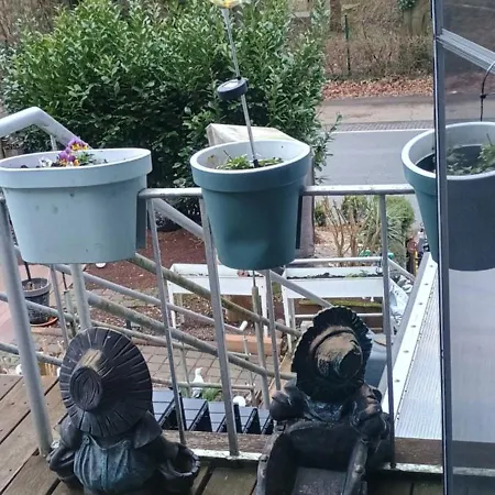 Gruenes Glueck Witten