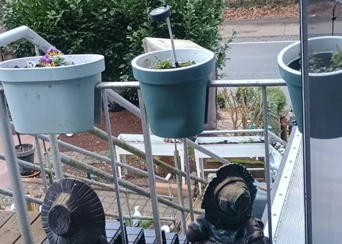 Gruenes Glueck Witten